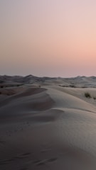 Golden desert dunes stretching endlessly under a soft pastel sky.