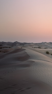 Golden desert dunes stretching endlessly under a soft pastel sky.