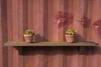 Rustic wooden shelf decorated with handmade pottery and small potted succulents.