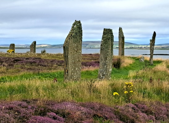 A serene ancient stone circle bathed in soft morning light with wildflowers around.