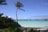 A tranquil tropical beach scene with a tall palm tree leaning slightly toward a turquoise lagoon. Thatched overwater bungalows sit on stilts above the lagoon, with a backdrop of lush greenery and a distant shoreline. The sky is mostly clear, bathed in warm sunlight.