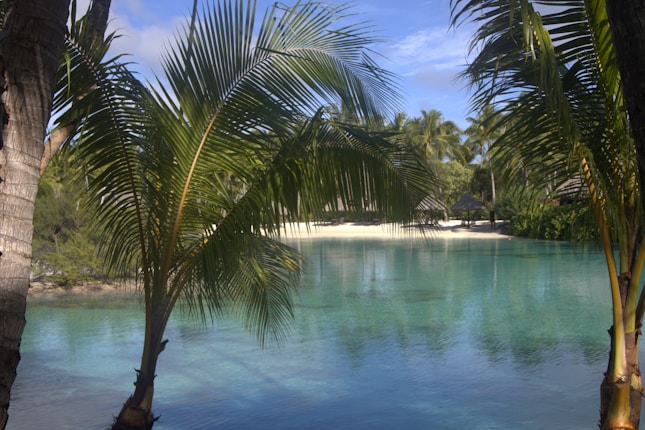A serene tropical landscape with clear turquoise water, bordered by palm trees and lush greenery. The sandy beach lies in the background under a bright blue sky with scattered clouds.