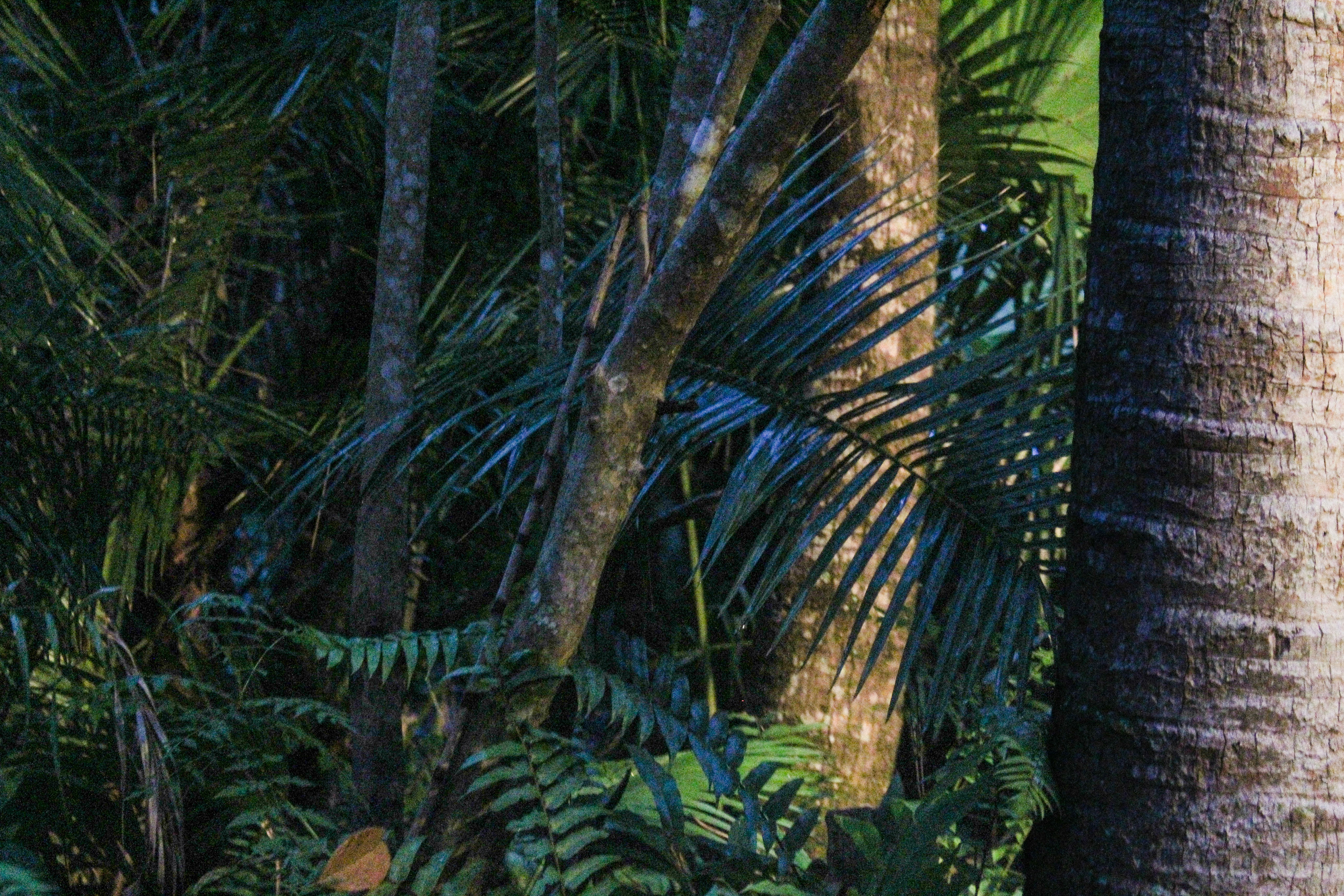 Photo by gary_cooper