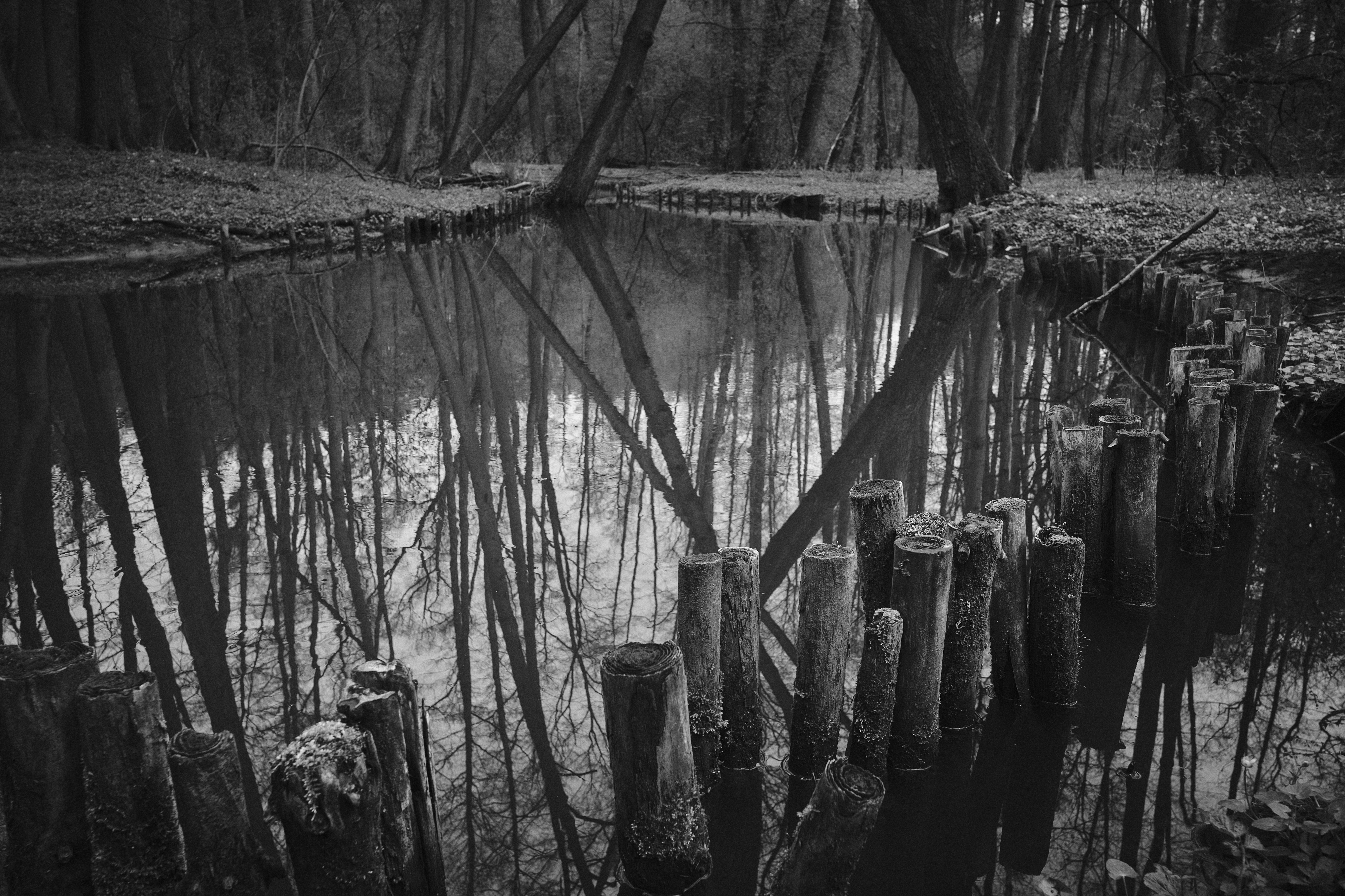 Photo by victor_vector