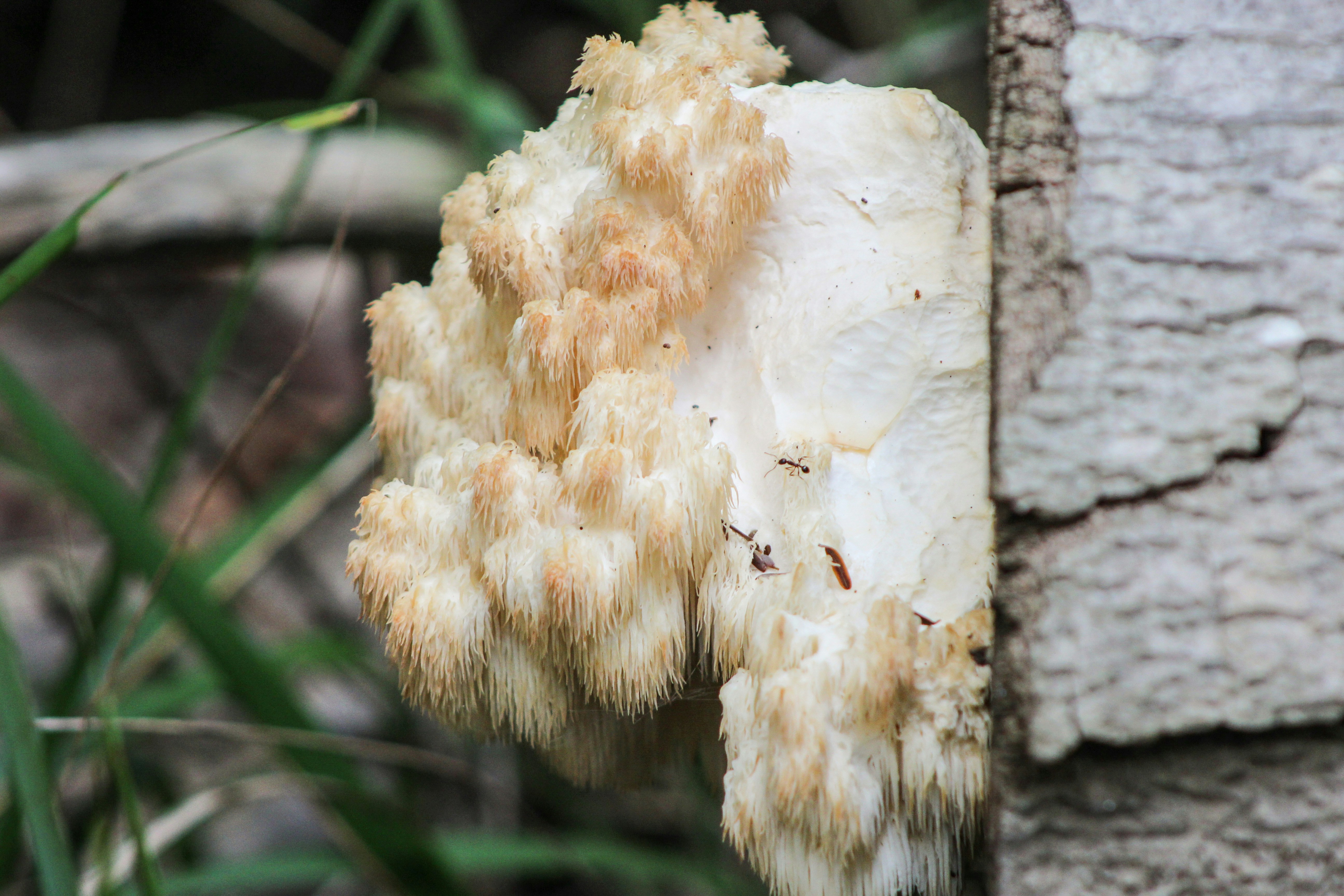 Photo by hollydeckert