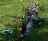 A garden scene featuring a large, weathered log surrounded by vibrant flowers and decorations. Various colorful flowers and metal ornamental pieces adorn the area, including an artificial owl figure and a decorative birdbath. The grass is lush and green, providing a natural backdrop for the array of hues and textures.