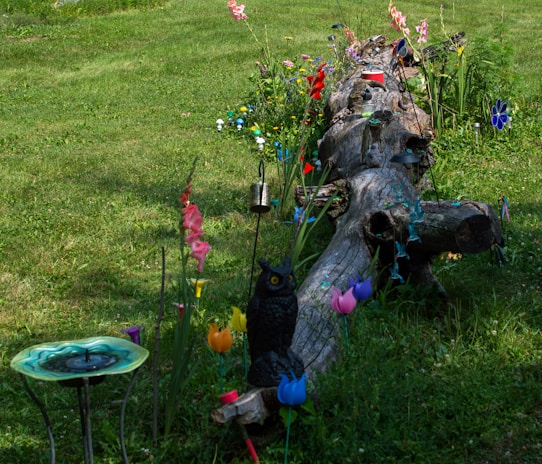 A garden scene featuring a large, weathered log surrounded by vibrant flowers and decorations. Various colorful flowers and metal ornamental pieces adorn the area, including an artificial owl figure and a decorative birdbath. The grass is lush and green, providing a natural backdrop for the array of hues and textures.