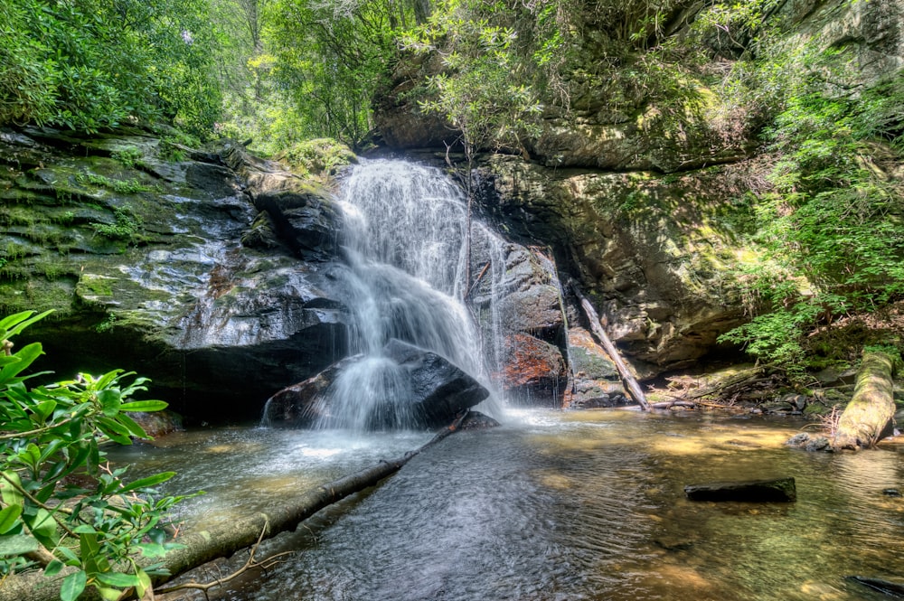 a small waterfall in the middle of a forest