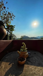 A sunlit wooden table set outdoors with scattered wildflowers and a steaming cup of tea.