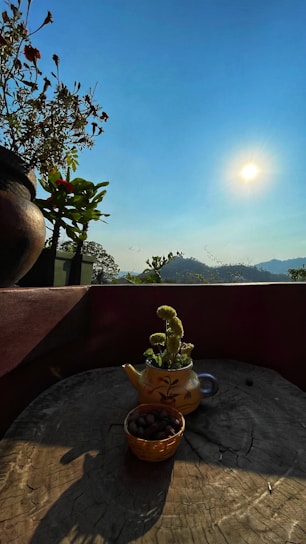 A sunlit wooden table set outdoors with scattered wildflowers and a steaming cup of tea.