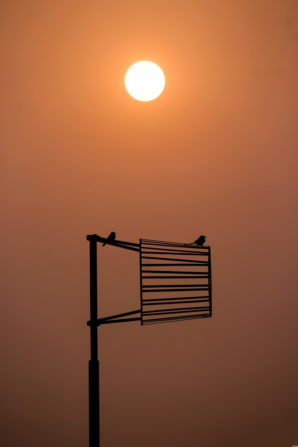 a bird sitting on top of a metal pole