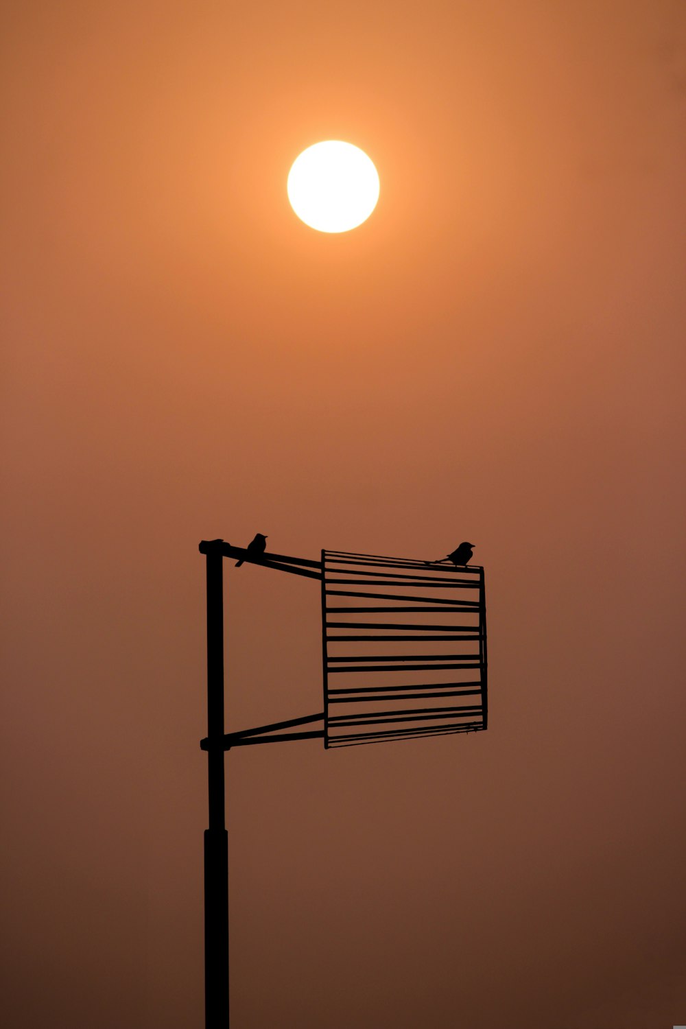 un uccello seduto sulla cima di un palo di metallo