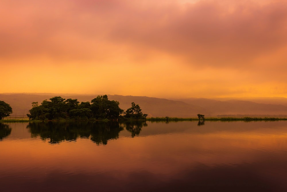 a body of water surrounded by trees under a cloudy sky