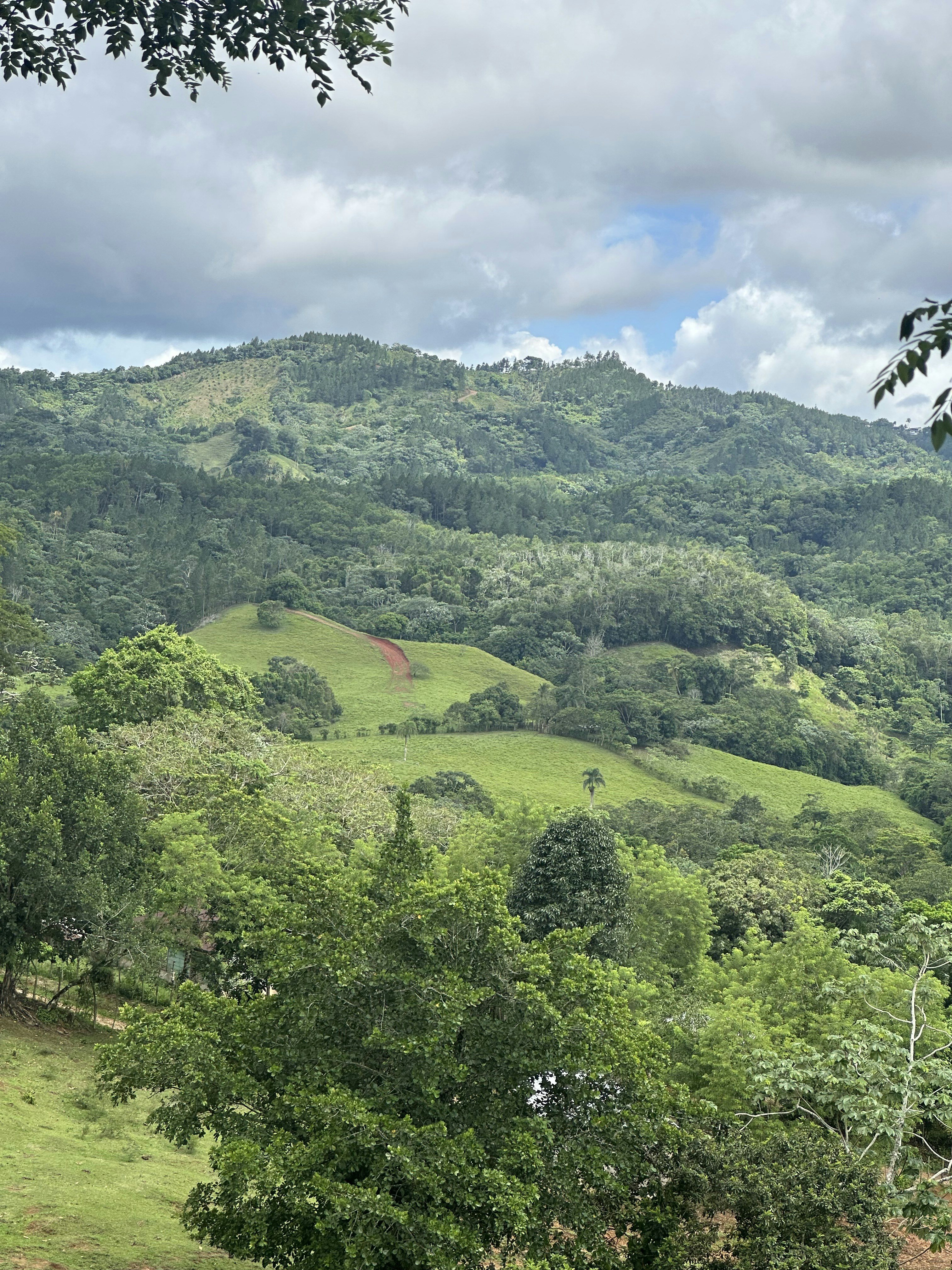 Photo by talamusic56