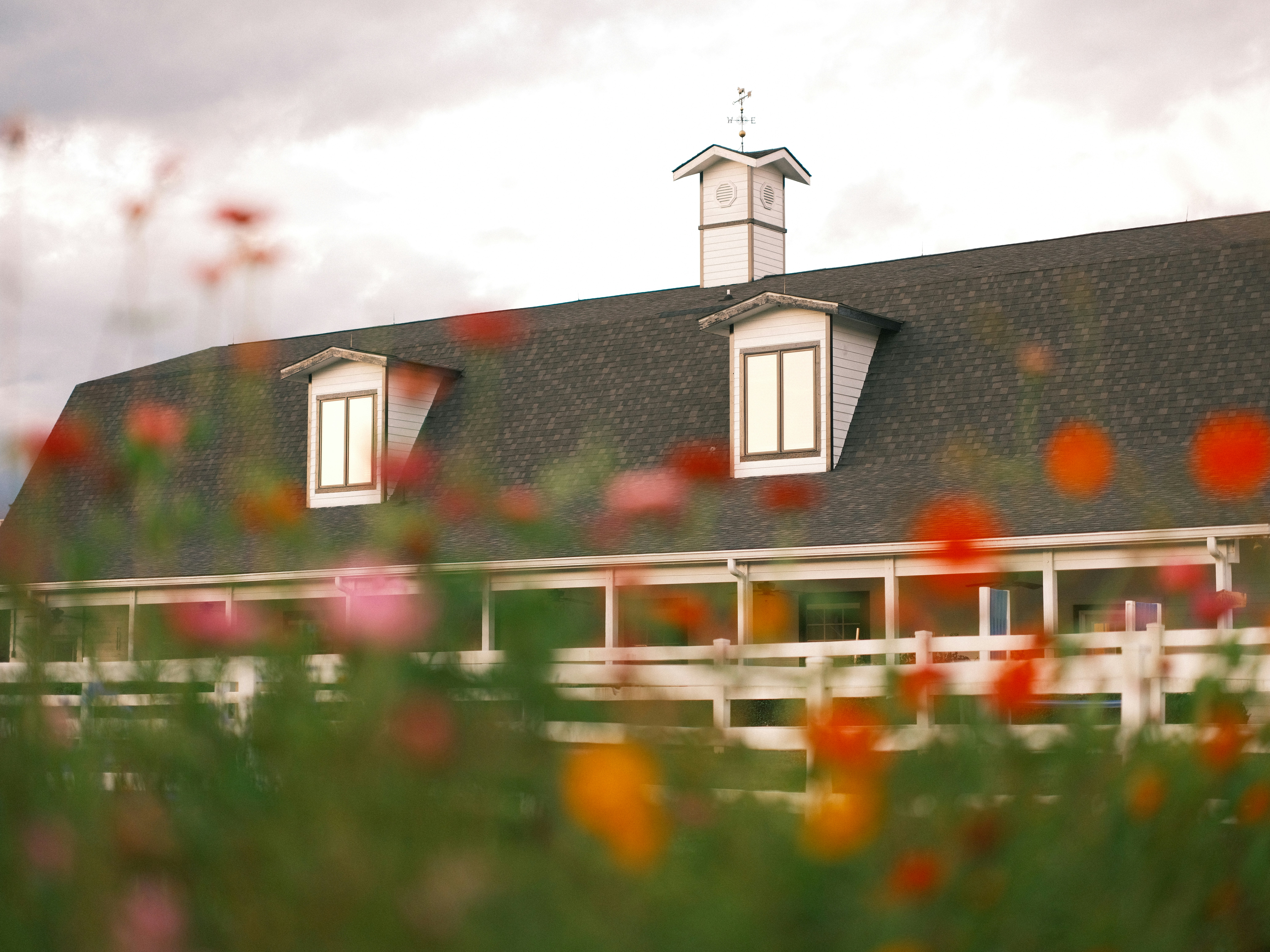 Photo by taylorheeryphoto