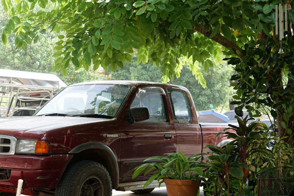 A used blue pickup truck parked beside a green tree.