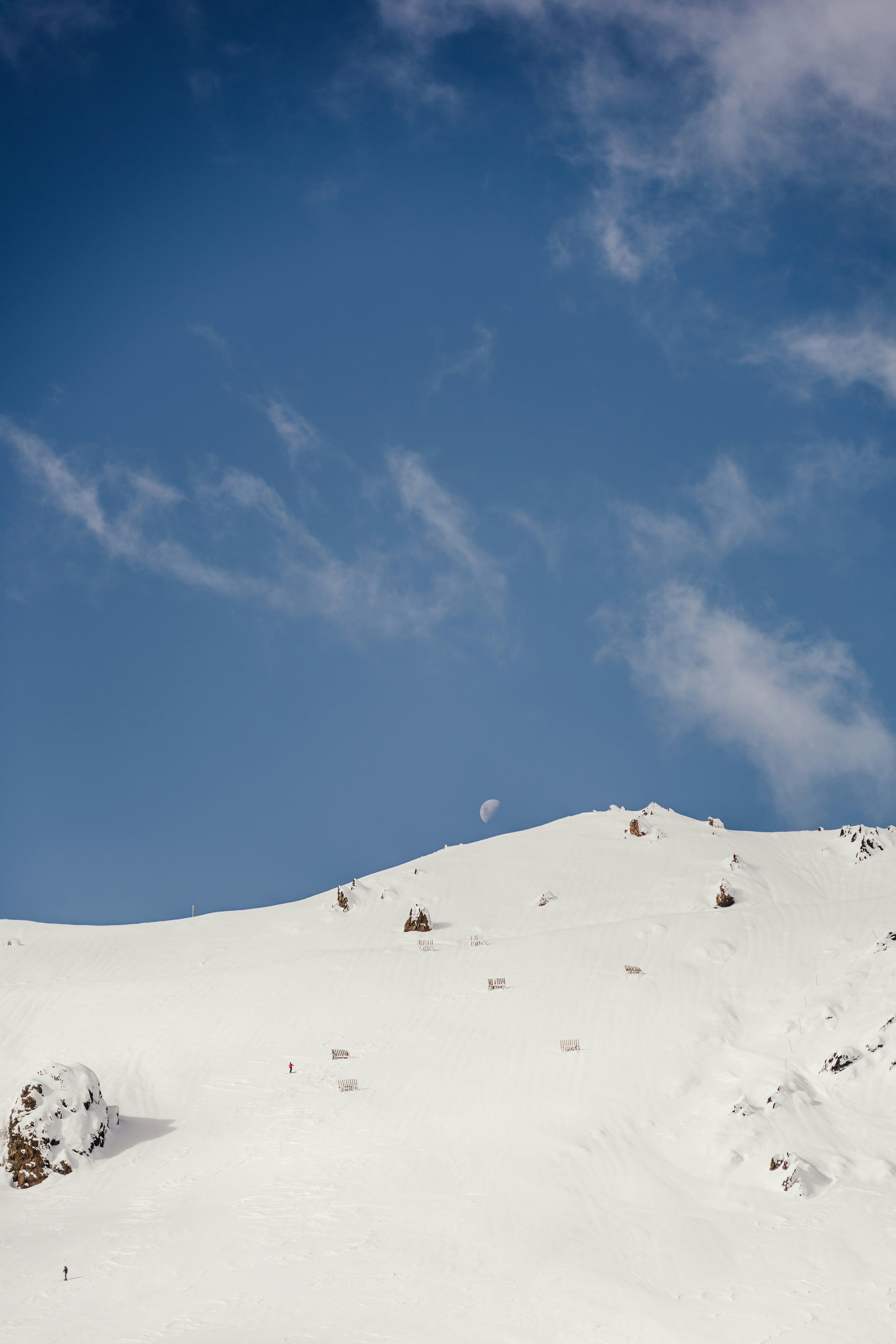 Photo by michellem18