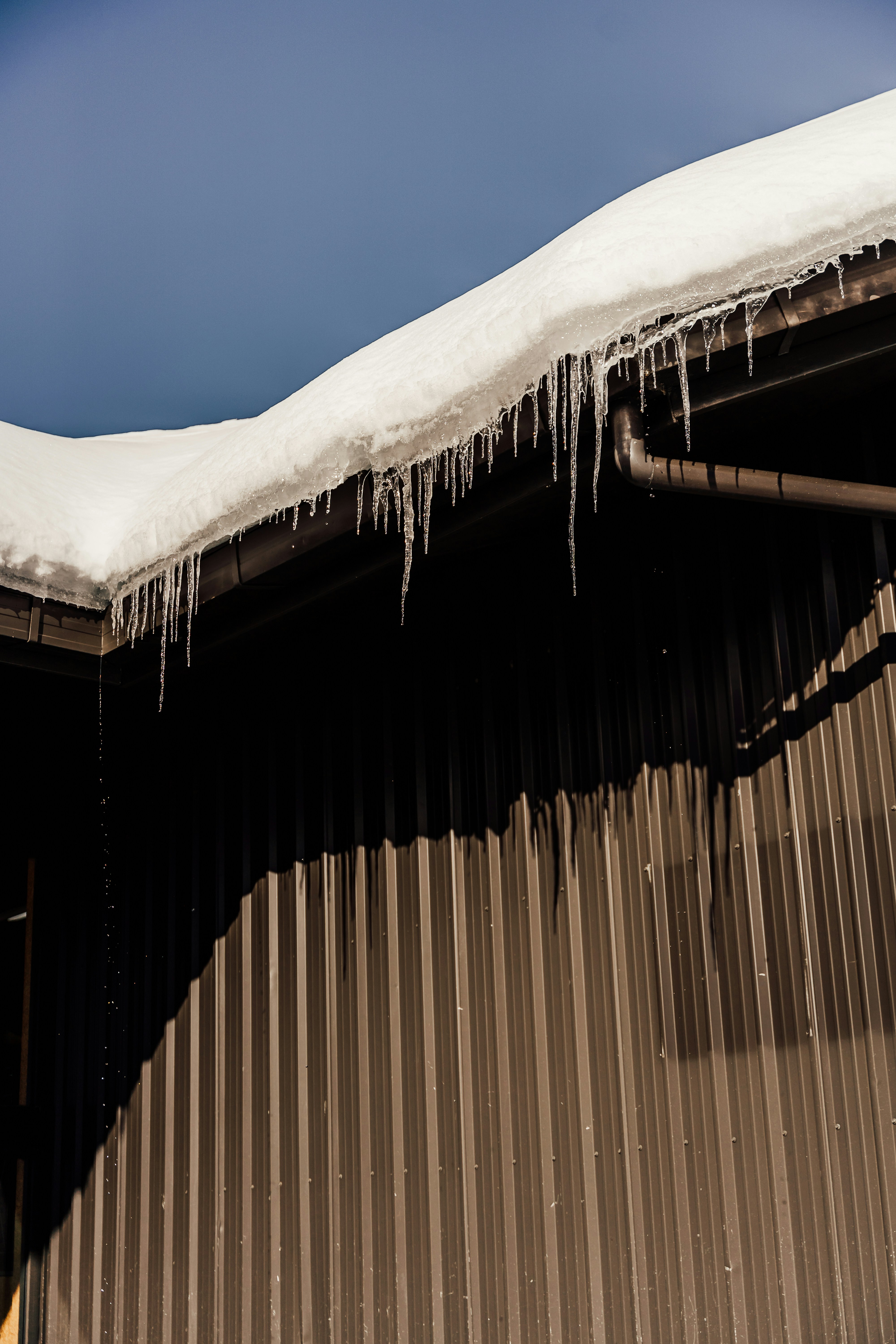 Photo by michellem18