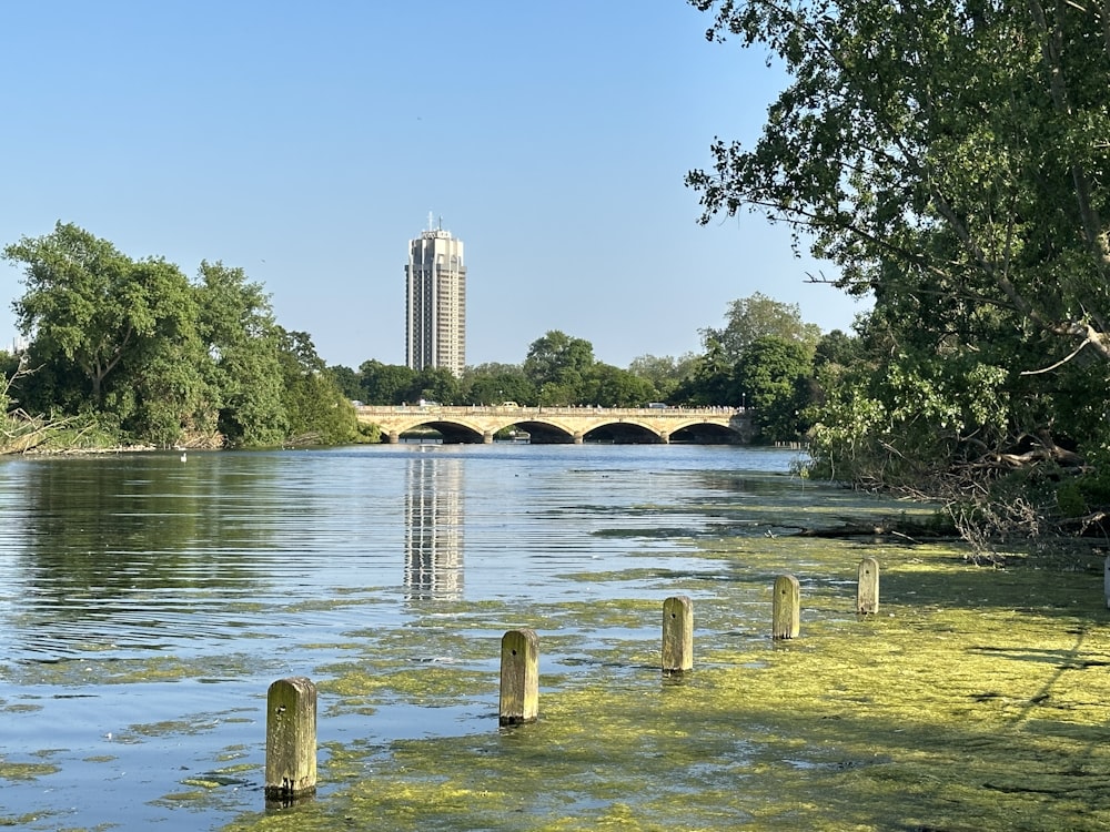 a body of water with a bridge in the background