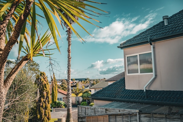 Traditional shingle roof repair on a cozy suburban house amidst palm trees