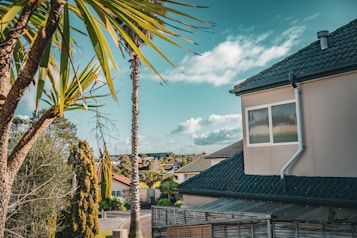 A suburban scene featuring a light-colored house with a dark tiled roof, surrounded by lush greenery. Palm trees and other vegetation create a tropical feel. In the background, more houses are visible under a blue sky with scattered clouds.