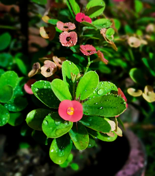 A vibrant portrait of an artist surrounded by lush greenery and wildlife motifs.