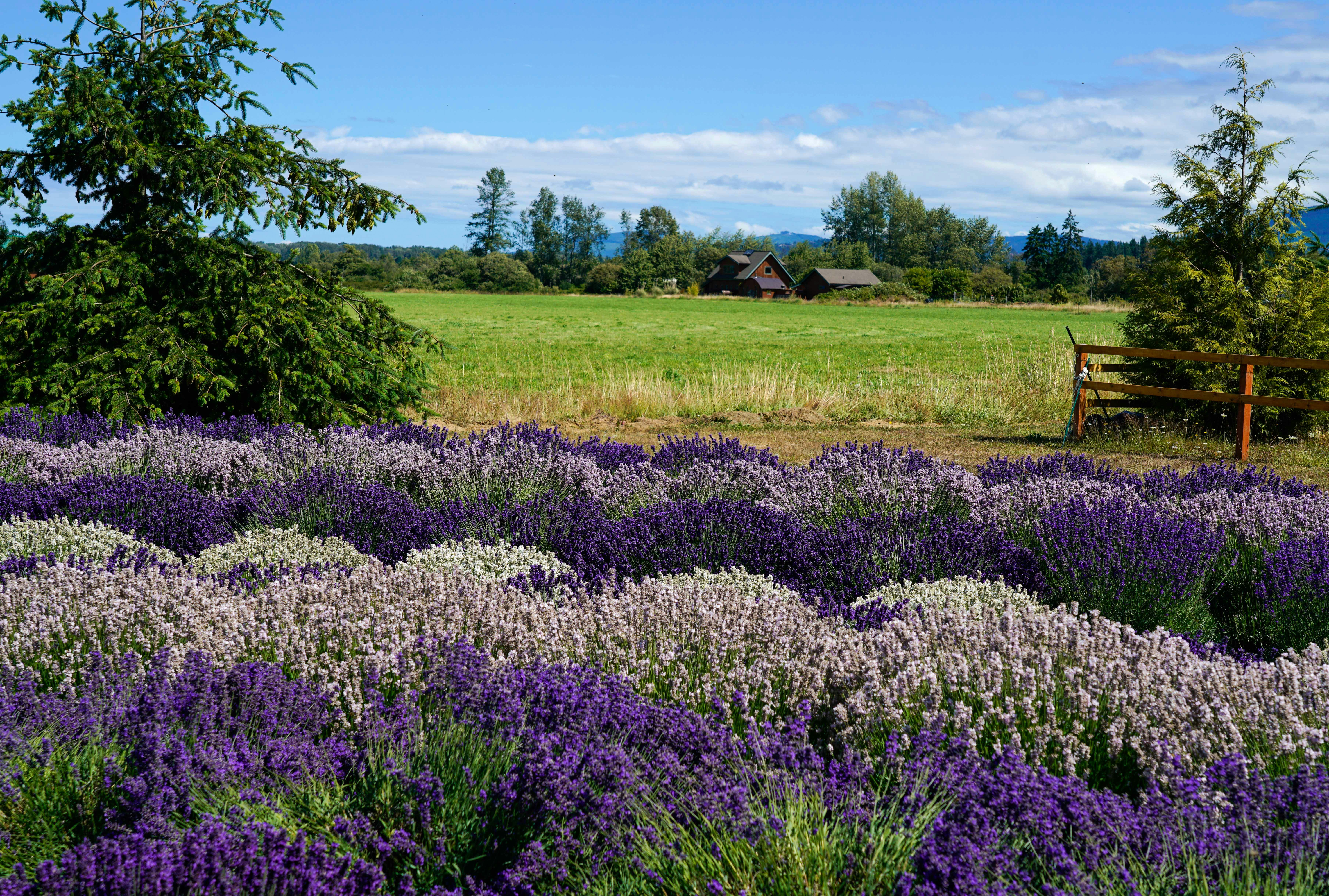 Réservez votre séjour
