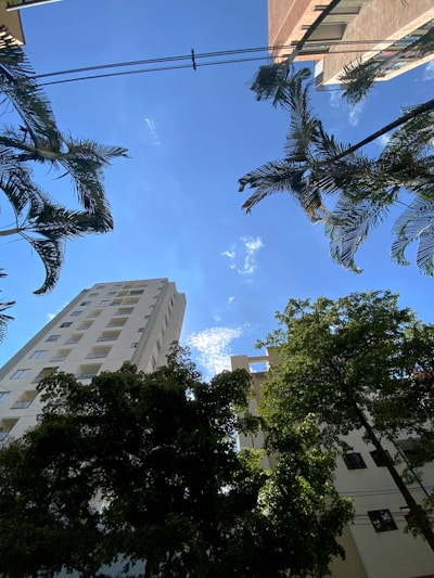 a tall white building sitting next to a lush green forest