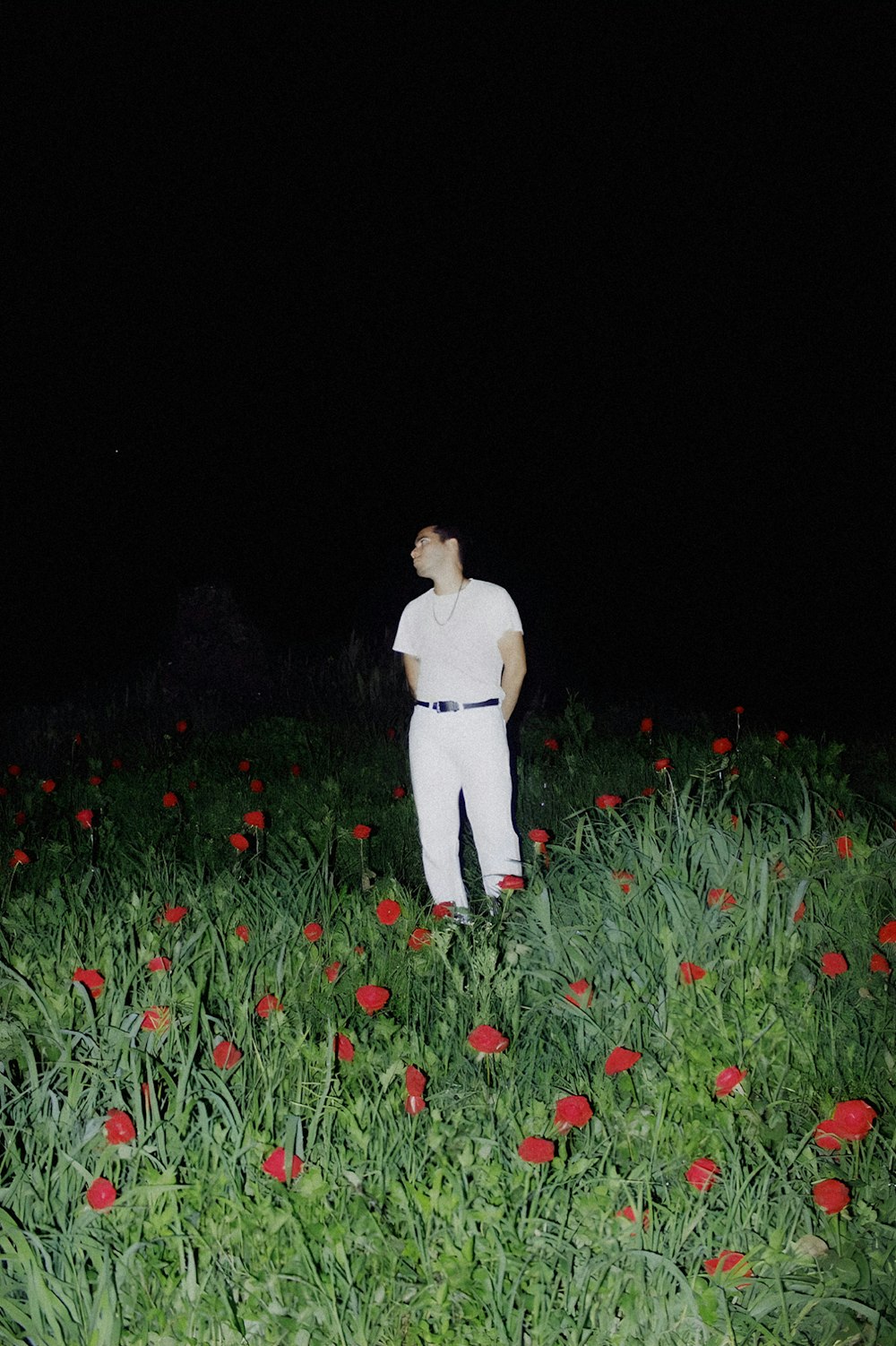 um homem em pé em um campo de flores à noite