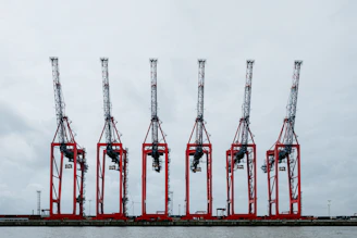 A fleet of heavy-duty cranes lined up ready for deployment.