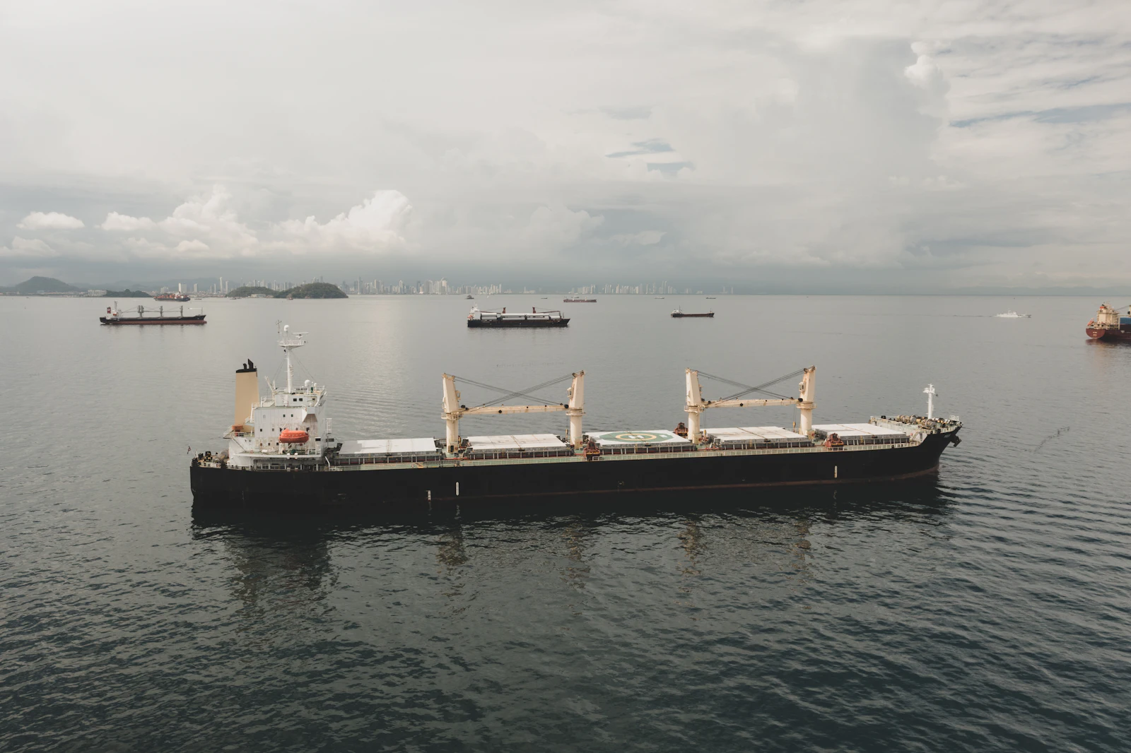 Bulk carriers at anchor in a grey, misty roadstead