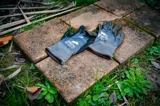 A pair of black gloves with white text and graphics lies on a surface made of rectangular, textured brown pavers. Surrounding the pavers, there are patches of green grass and small plants. Some dry leaves and twigs are also visible around the edges of the image.
