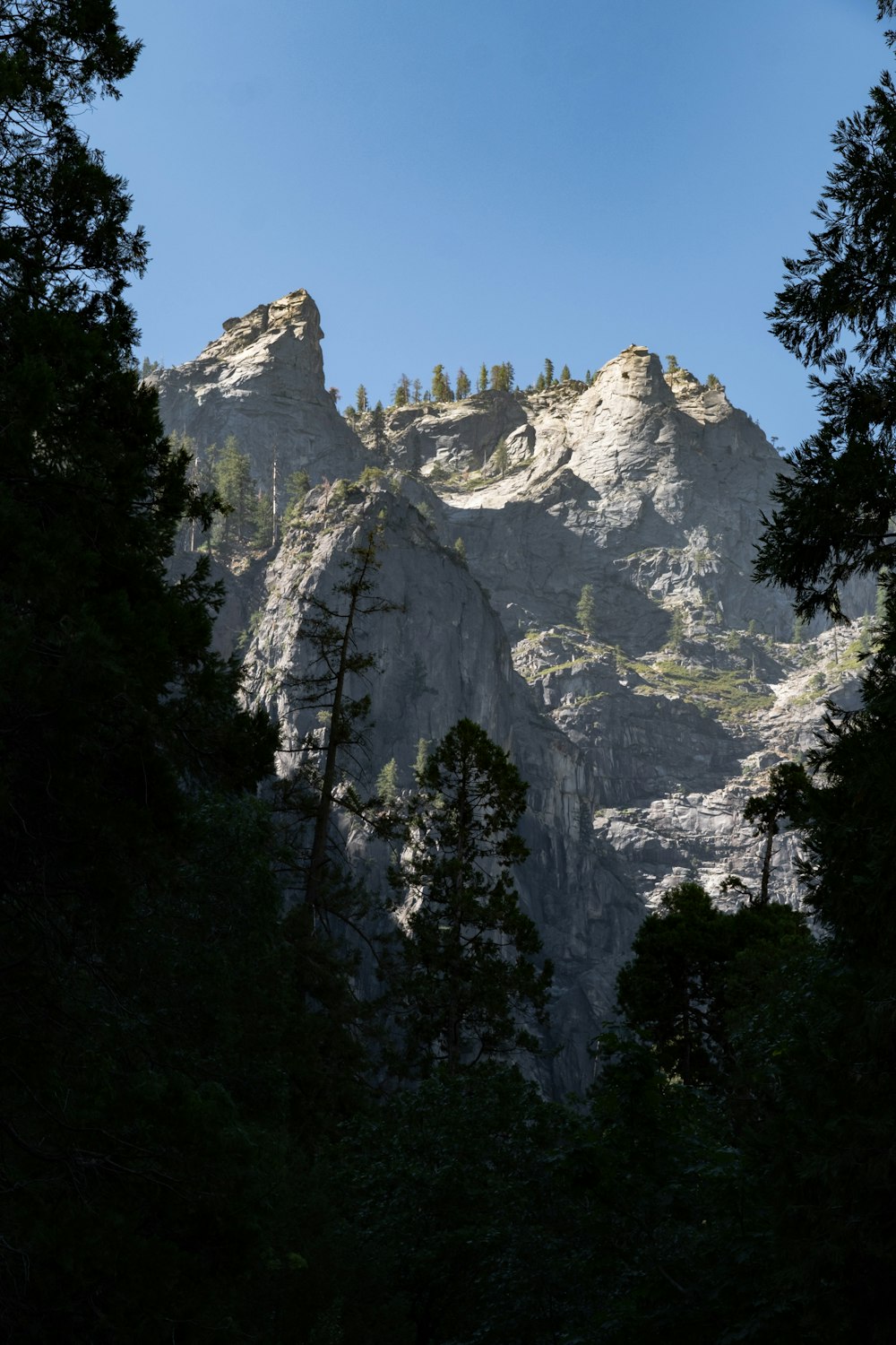 a view of a mountain with trees in the foreground