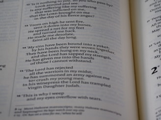 A close-up view of an open book displaying text in a poetic layout, with lines of varying lengths and indentation. The font is clear, and the page appears to be from a religious or scholarly text, possibly a Bible, due to the structured verse format and references to theological themes.