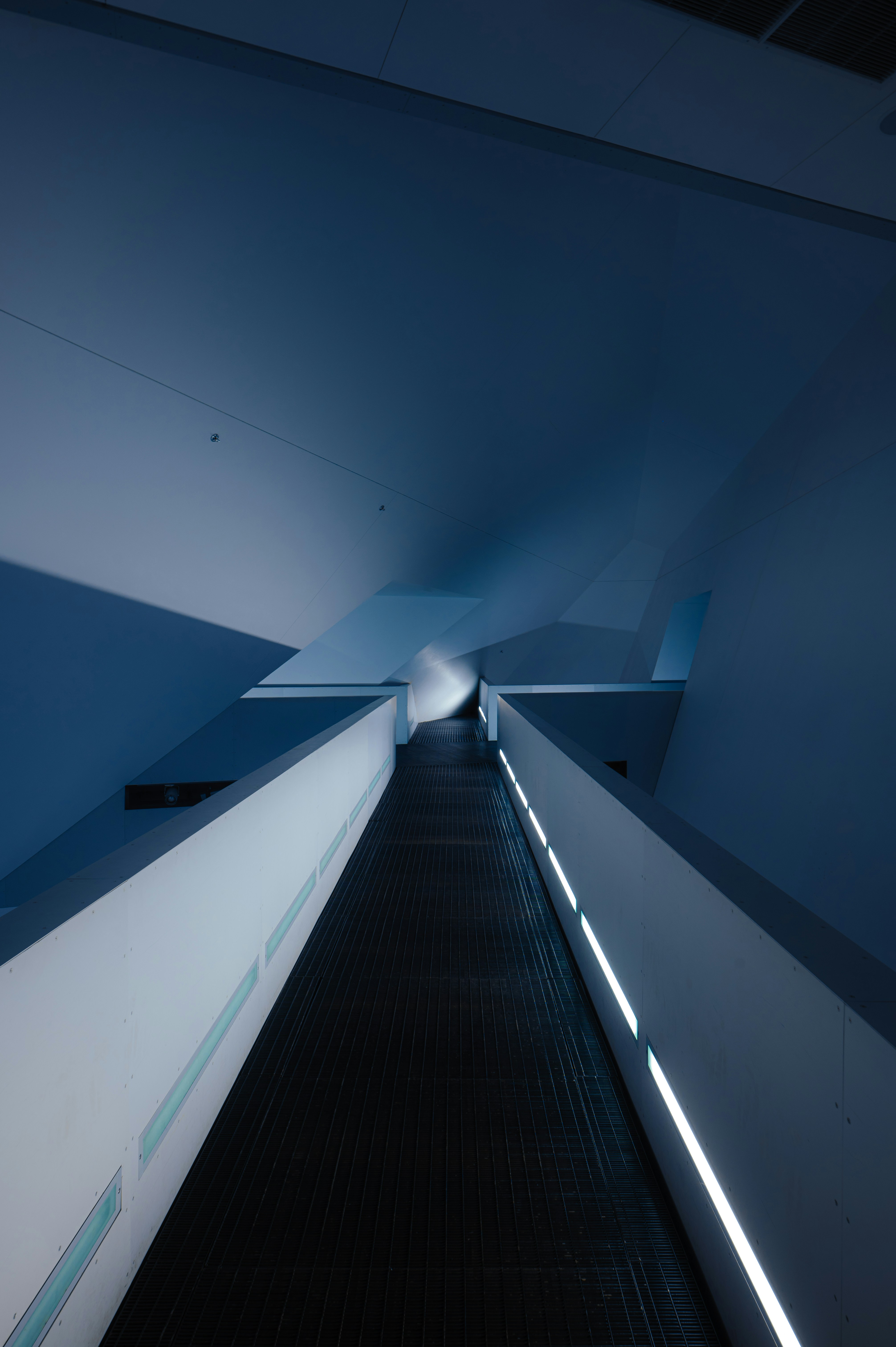 Photo by ryunosuke_kikuno