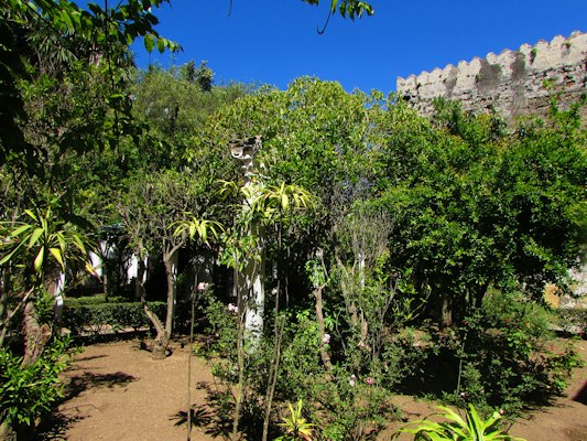 Gardens below the kasbah walls — Tangier, Morocco