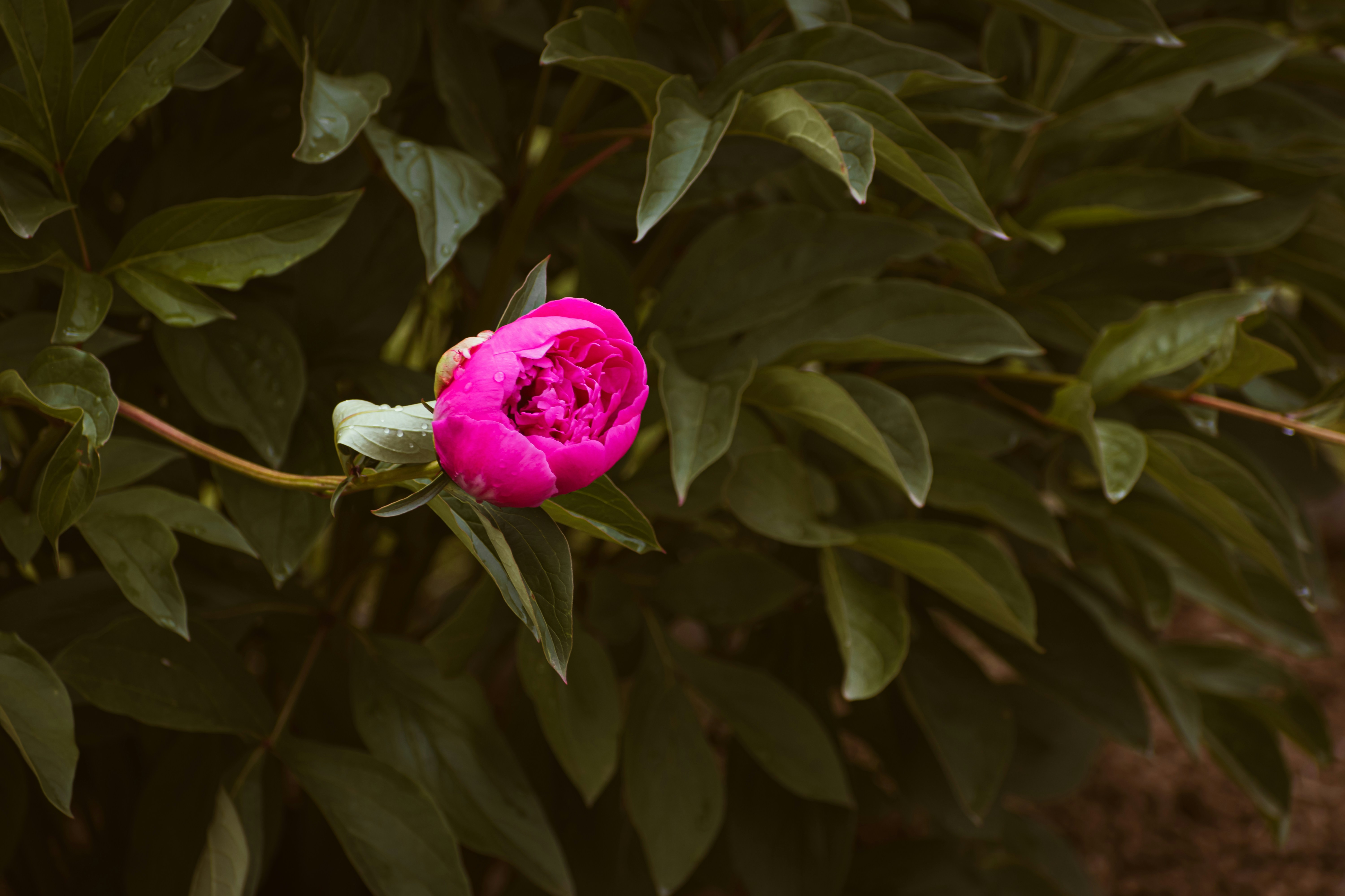 Photo by niki_emmert