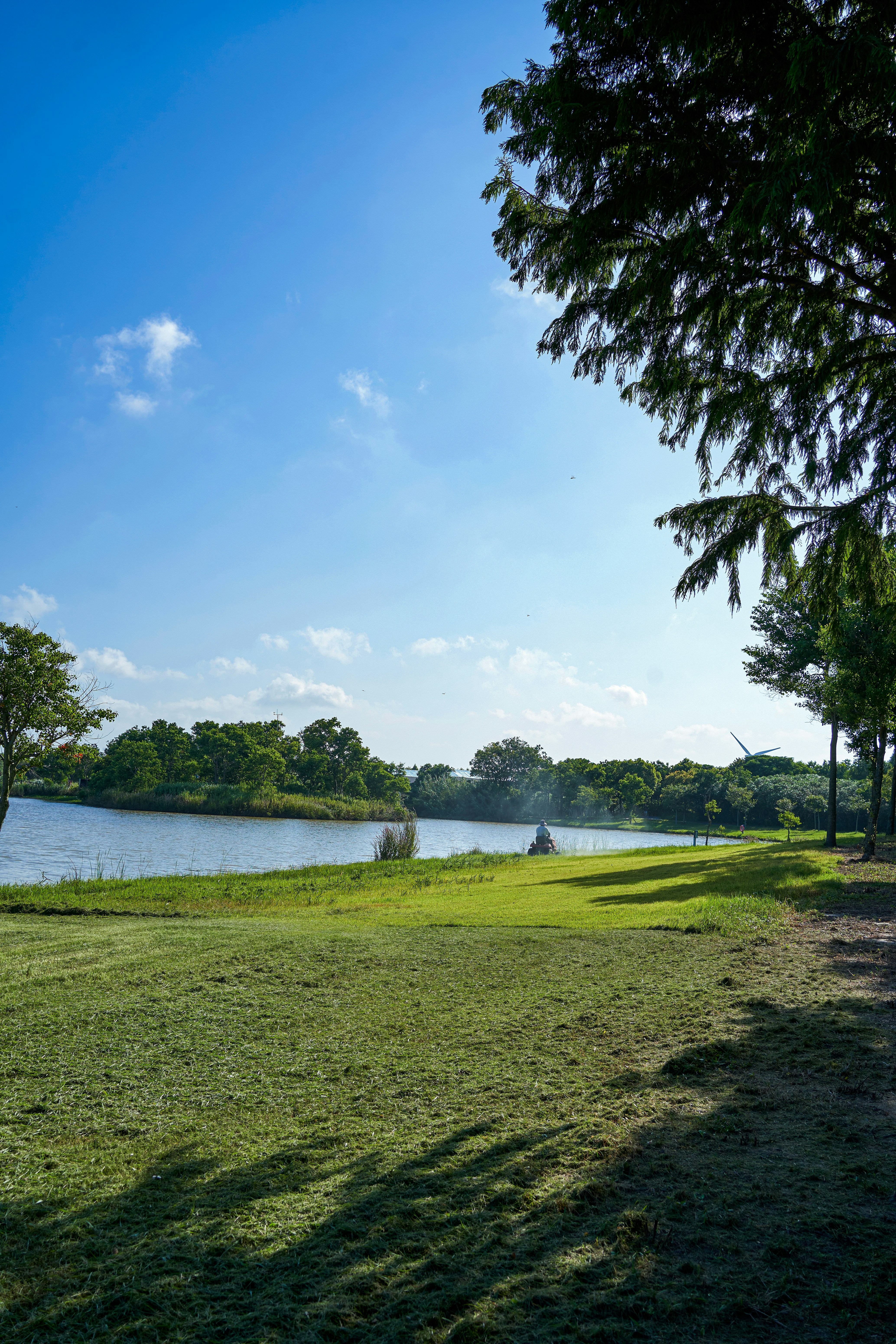 Southern Culture Landscaping's image