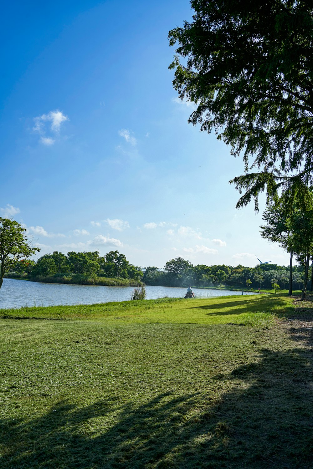 a grassy field next to a body of water