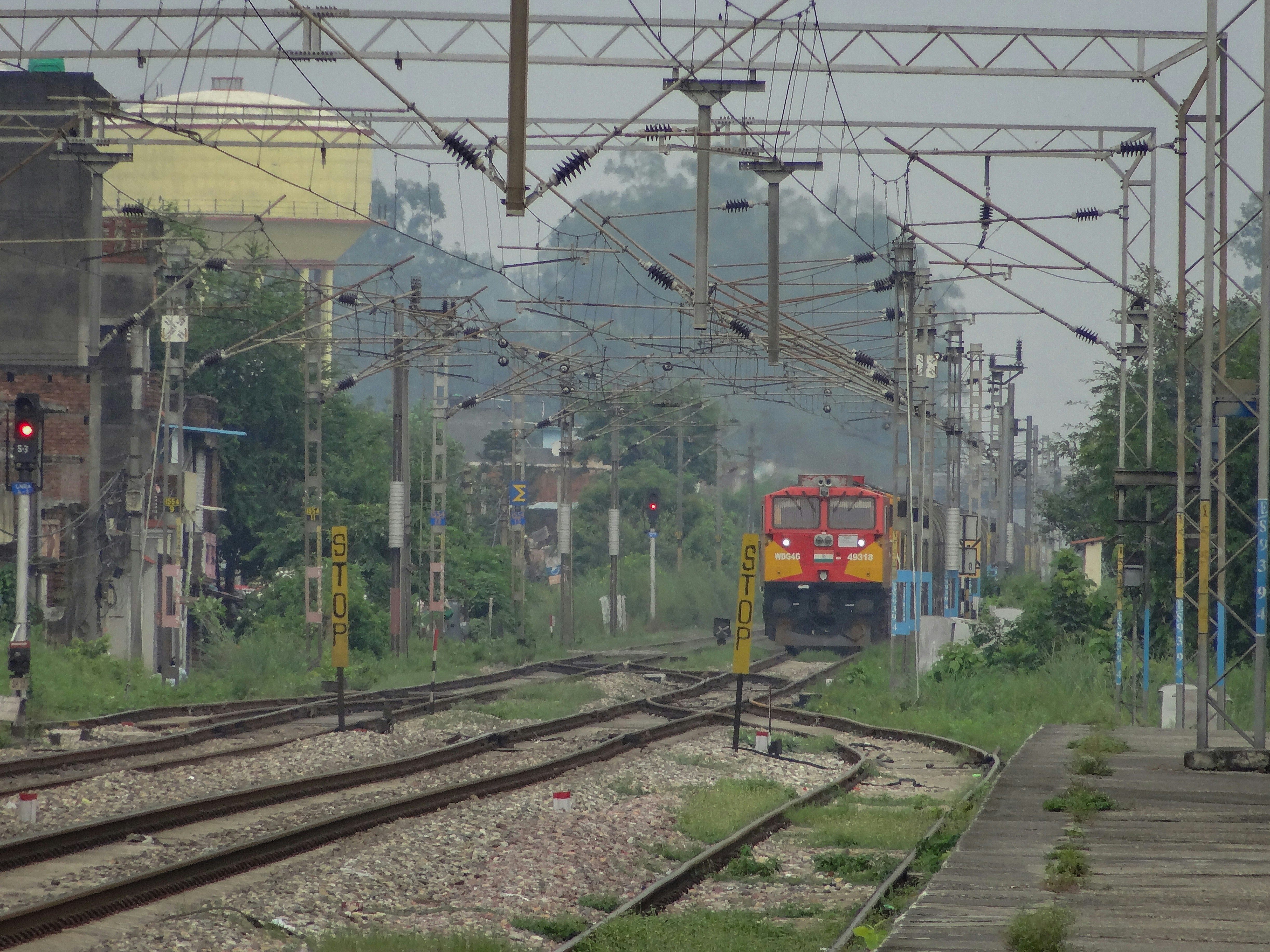 A train traveling down train tracks next to a forest photo – Free ...