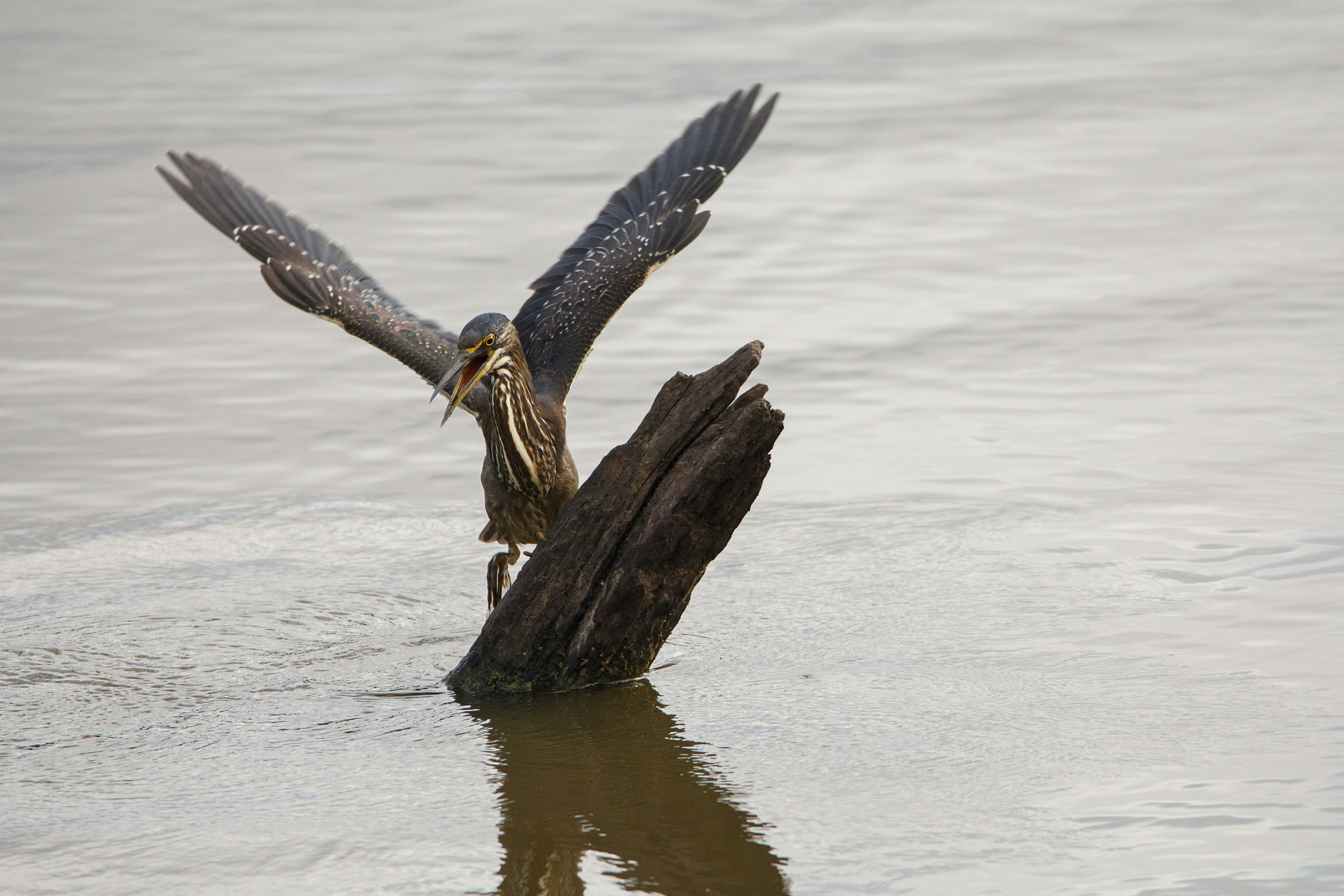 Photo by juantelle_louw_photography