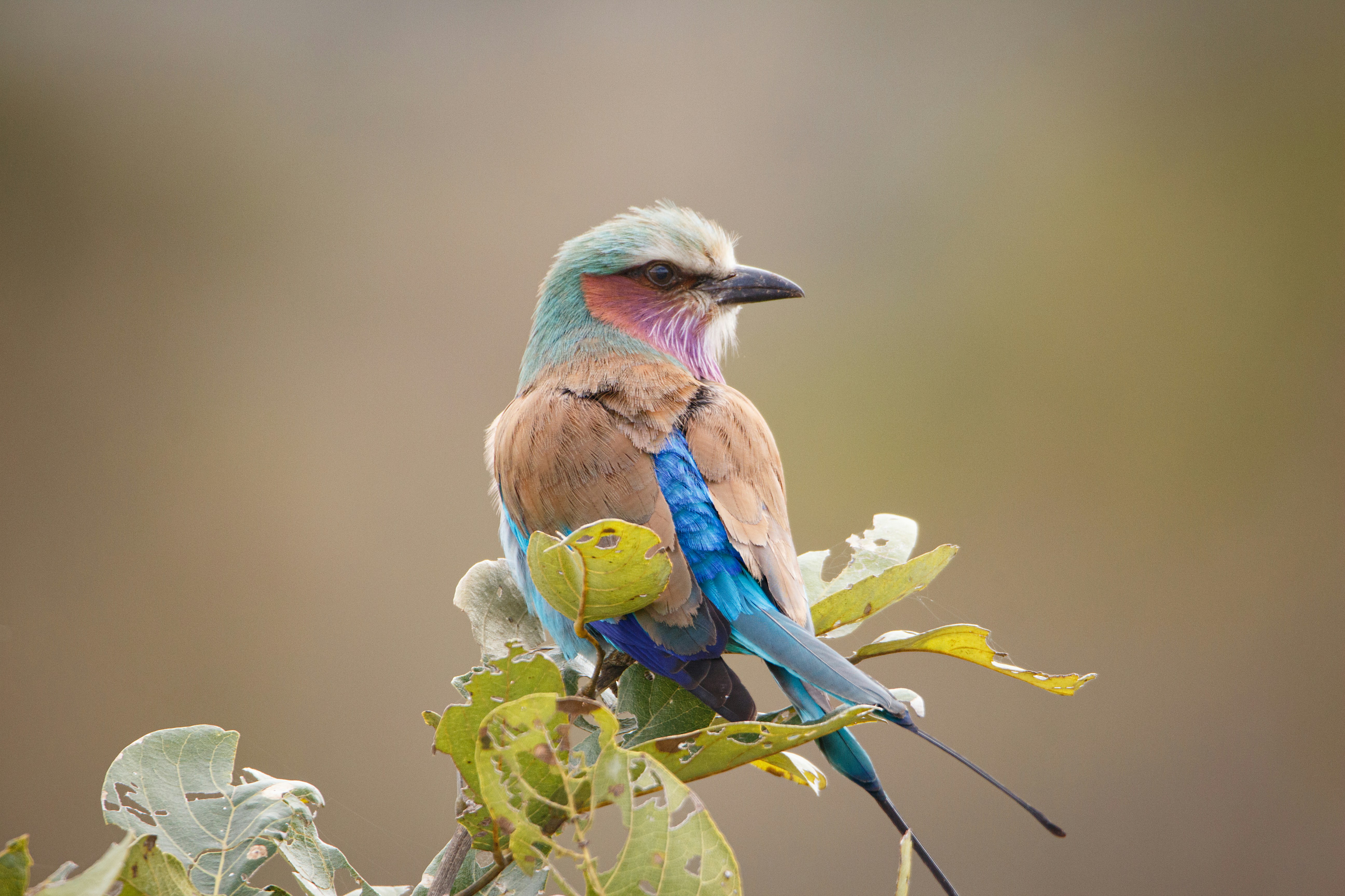 Photo by juantelle_louw_photography