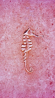 A seahorse engraving set against a textured pinkish-red stone surface. The seahorse is intricately carved, with visible details in its body structure, including the curled tail and segmented trunk.