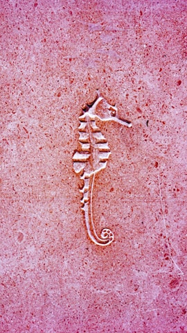 A seahorse engraving set against a textured pinkish-red stone surface. The seahorse is intricately carved, with visible details in its body structure, including the curled tail and segmented trunk.
