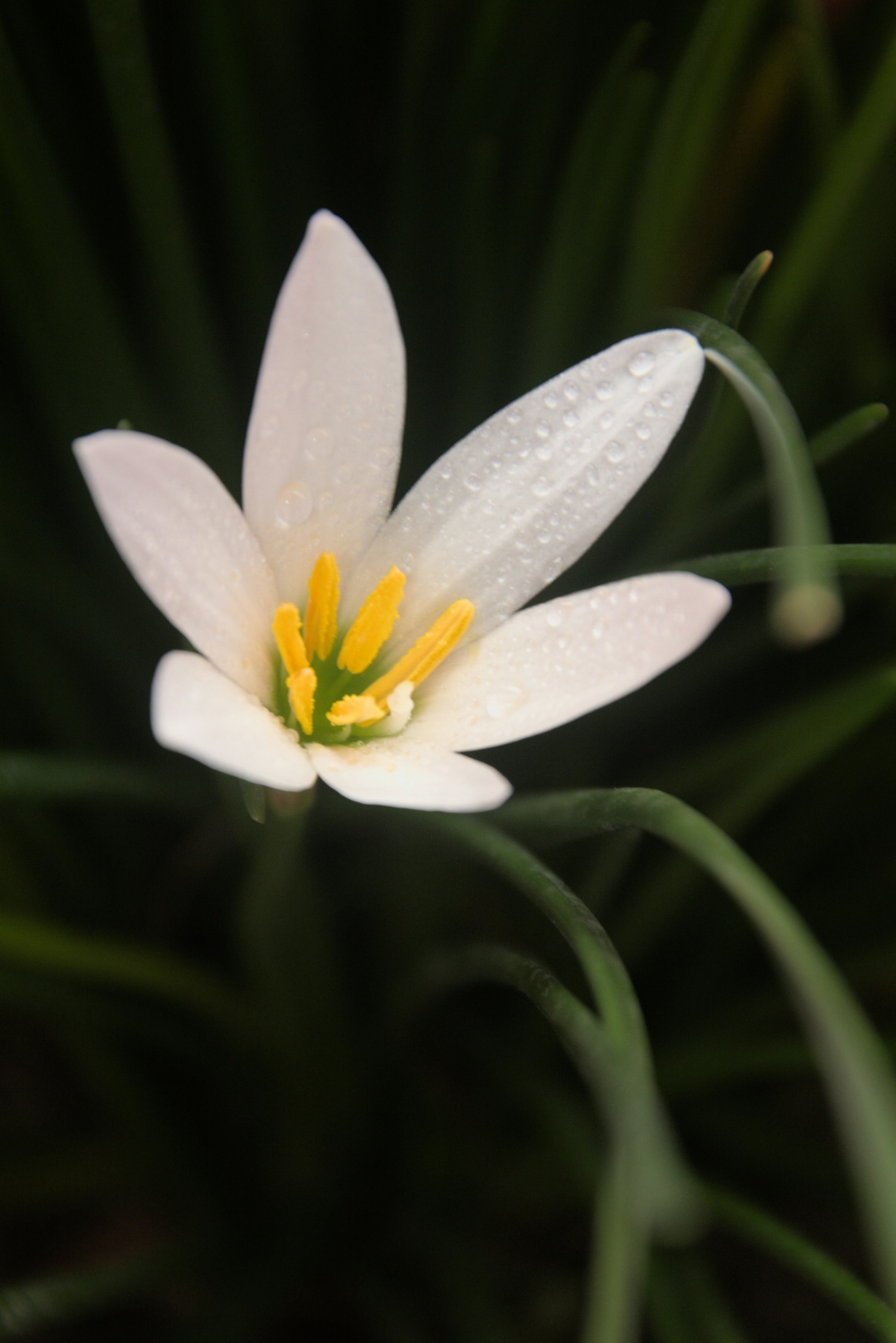 Photo by tasimahmedsafat