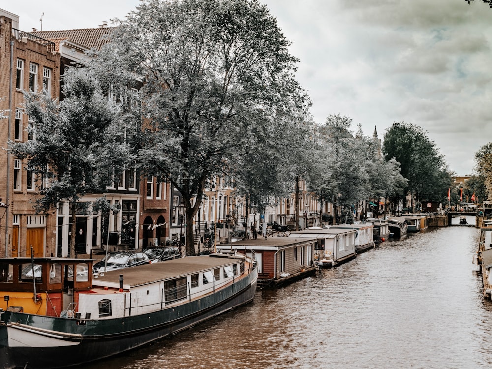 a boat is parked on the side of a river