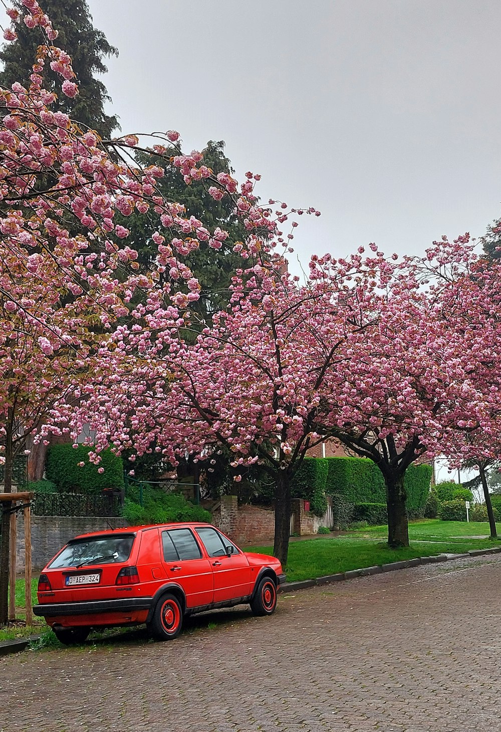 a red car parked in front of a pink tree