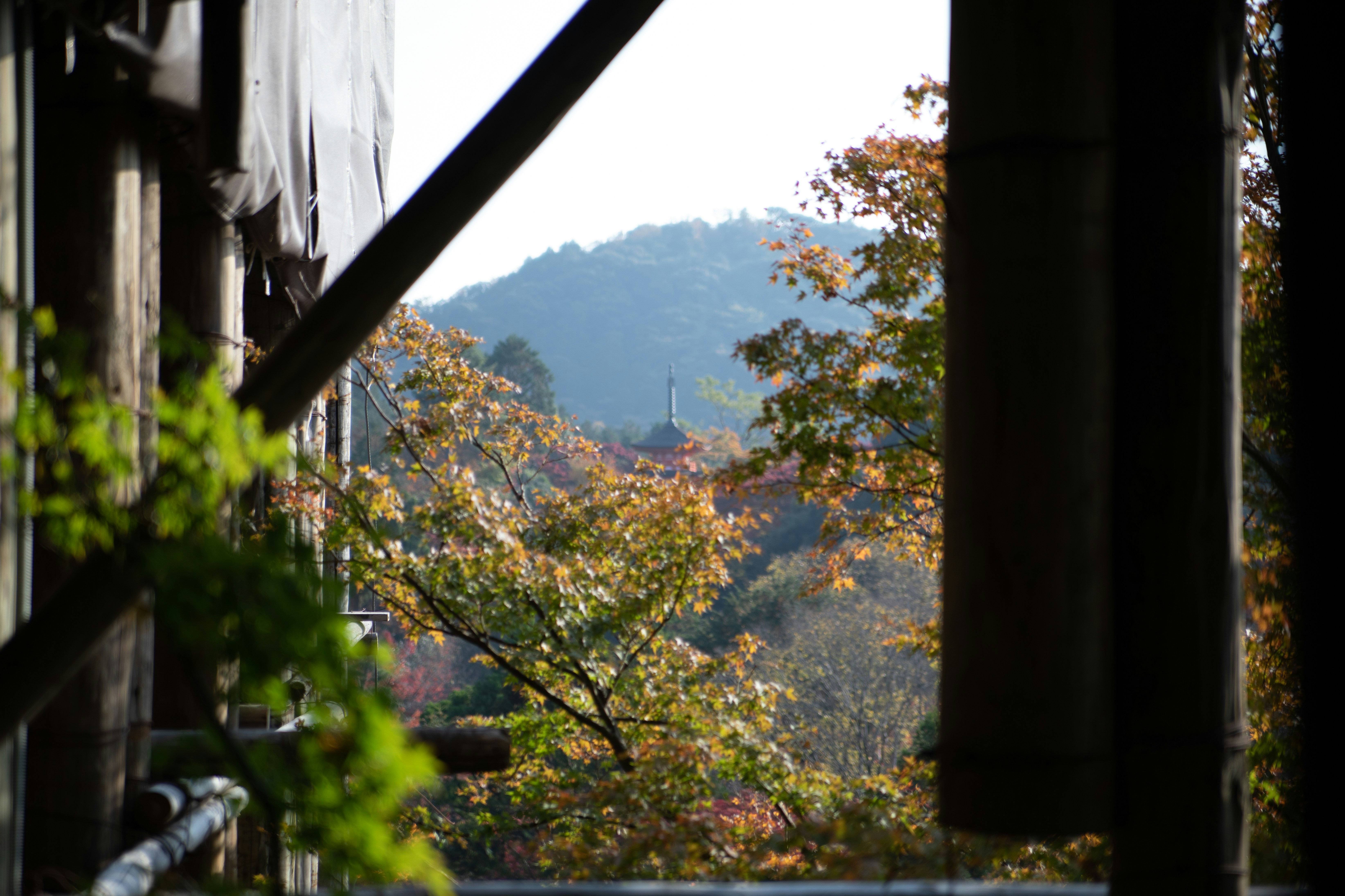 Photo by iorving
