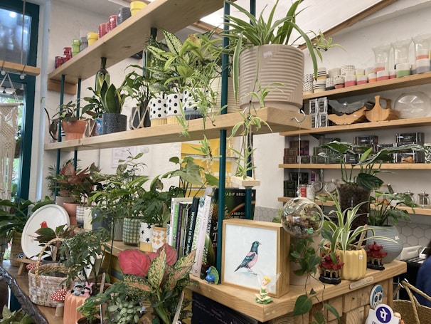 Numerous potted plants are arranged on wooden shelves, creating a lush and green indoor setting. The shelves also hold various items including books, decorative jars, and a framed bird illustration. Ceramic pots and whimsical decor, such as a small fairy figurine, add personality to the space.