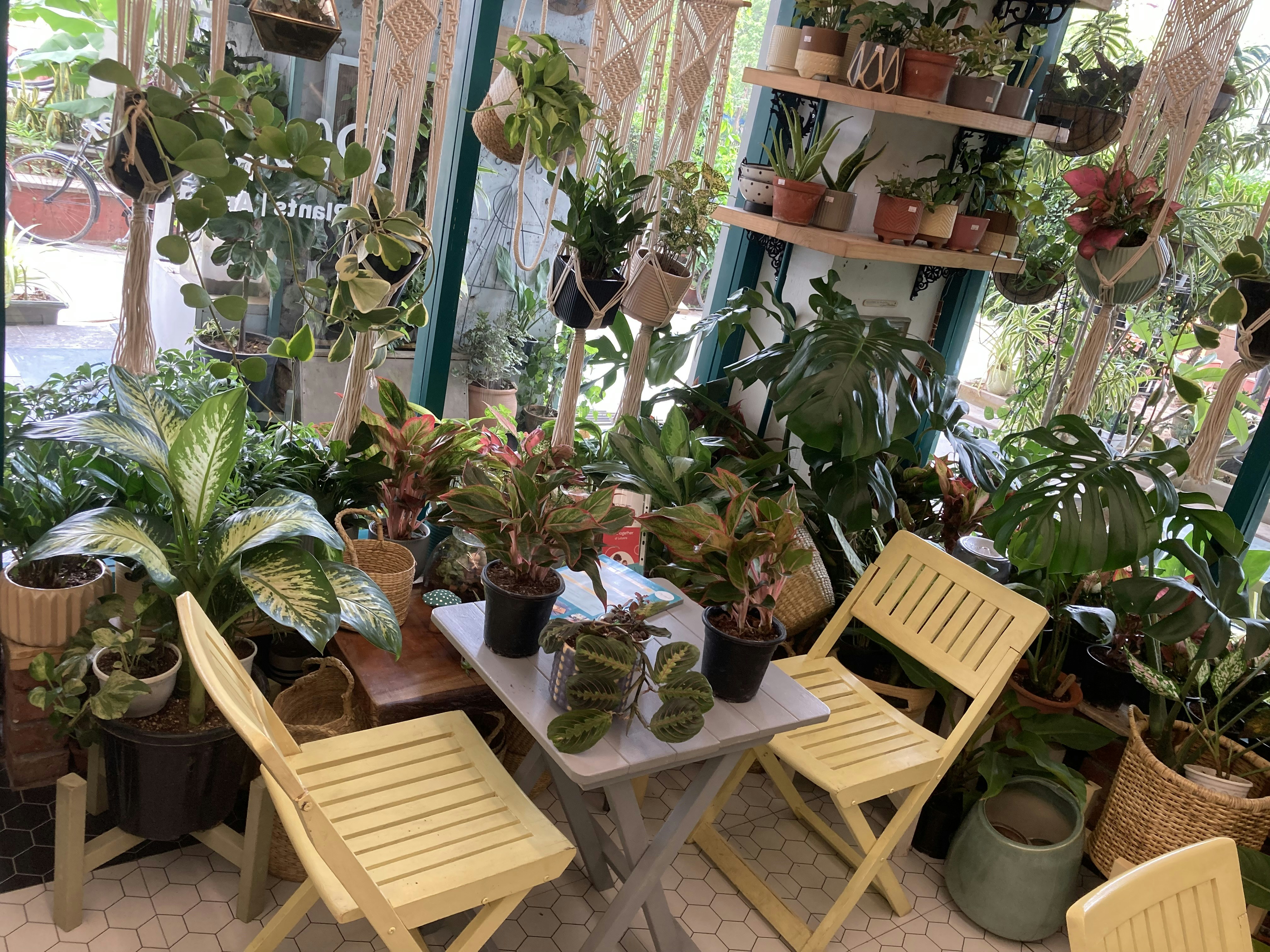 Photo by vikasbaniwal